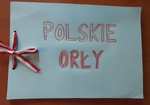 Błękitna książka z napisem Polskie orły
